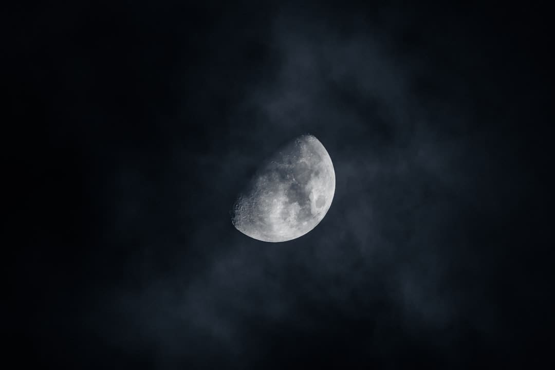看阅兵时郑钦文张雨霏就坐在死后 体育明星齐聚观礼